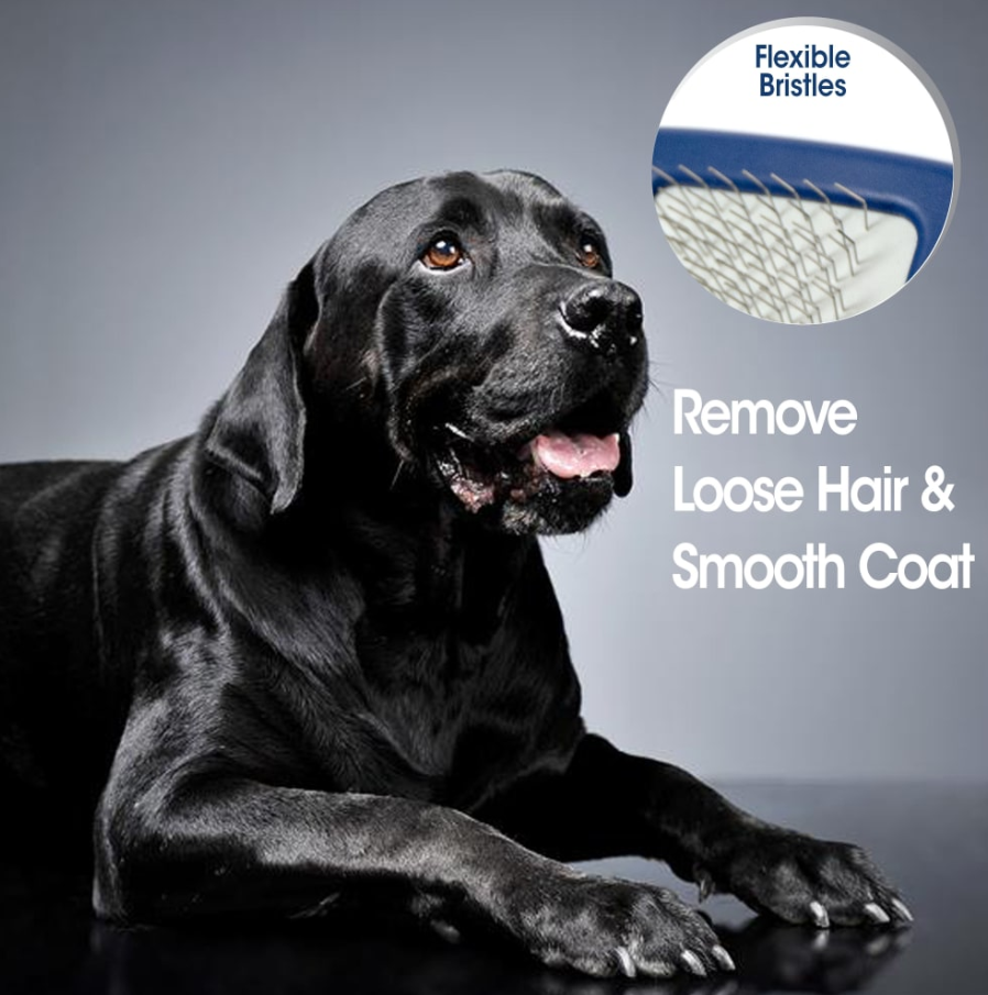 Magic Coat Professional Series Slicker Brush for Dogs