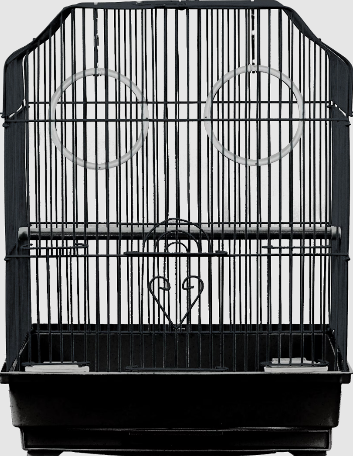 Ornate Top Cage Bird 14"x11"x17