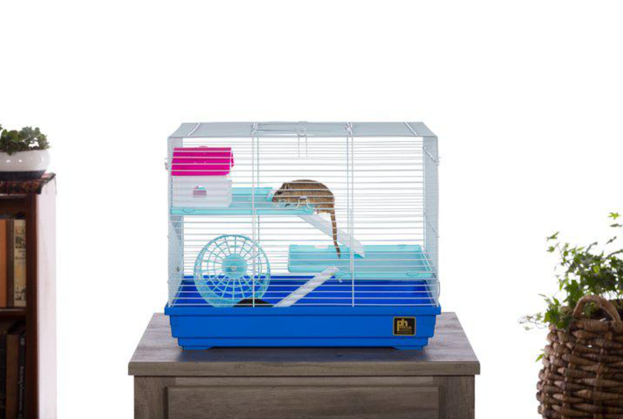 Critter Clubhouse