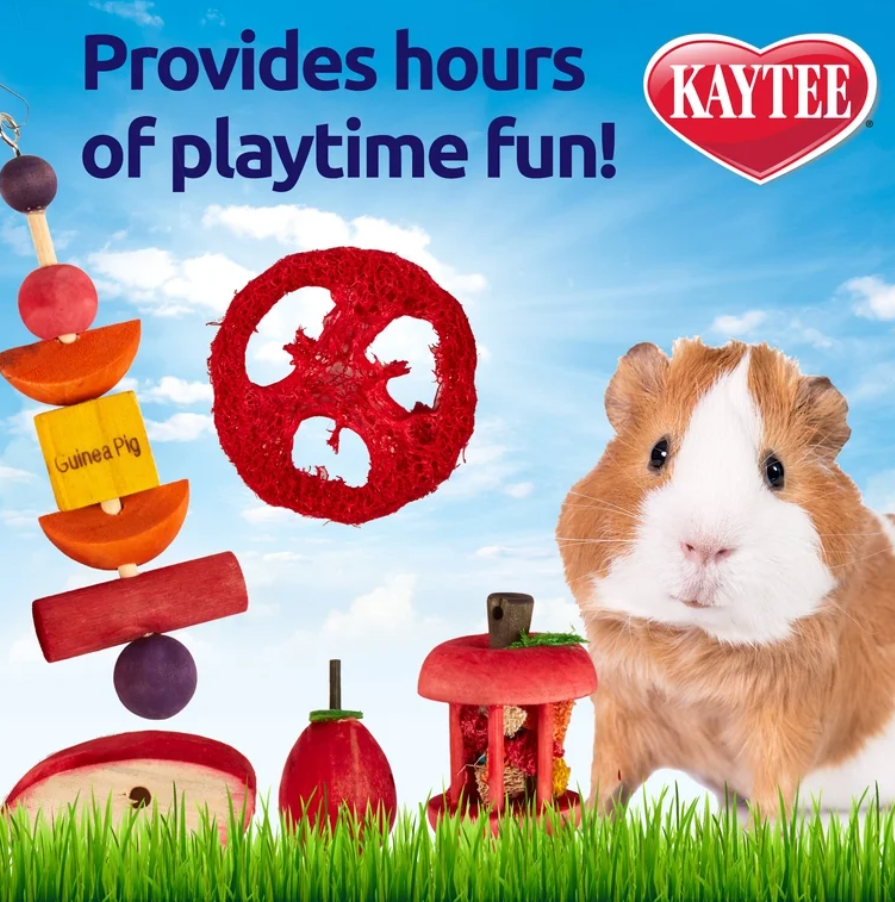 Kaytee Chew Treat Toy Box Guinea Pig