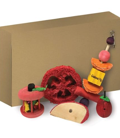 Kaytee Chew Treat Toy Box Guinea Pig