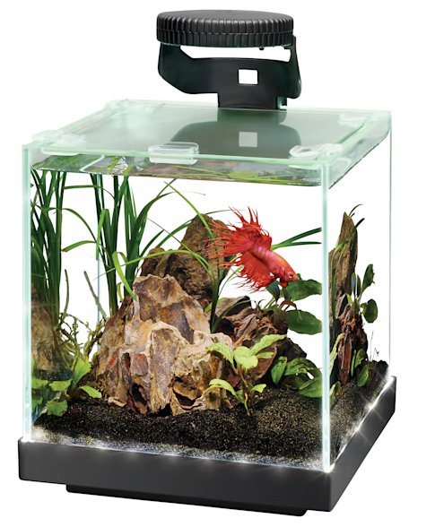 Aqueon Edgelit Cube Glass Aquarium, 1 Gallon
