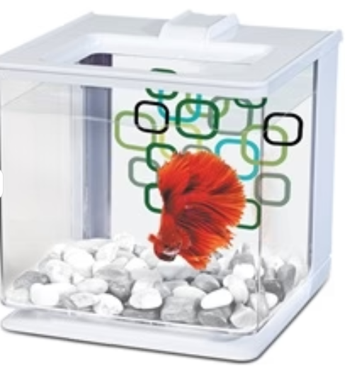 Marina EZ Care Betta Kit