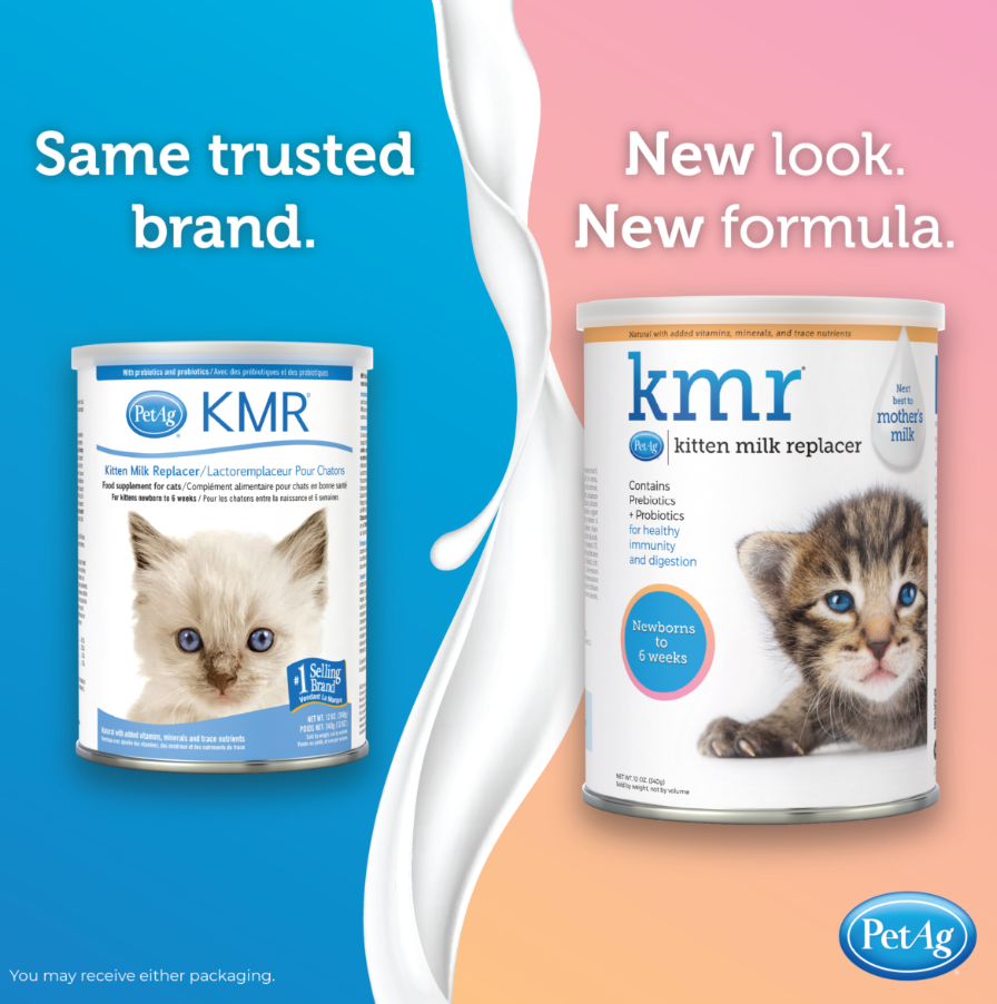 PetAg KMR Powder Kitten Milk Replacer 6oz