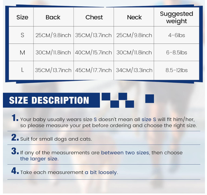 Plaid Puppy Shirt with Bow