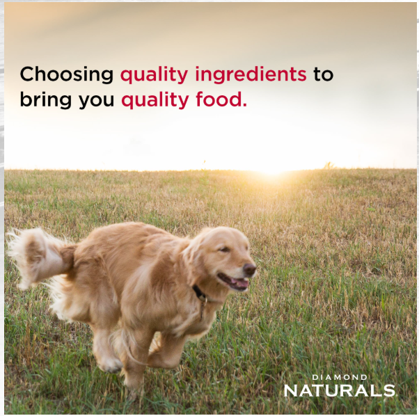 Diamond Naturals Small Breed Lamb and Rice