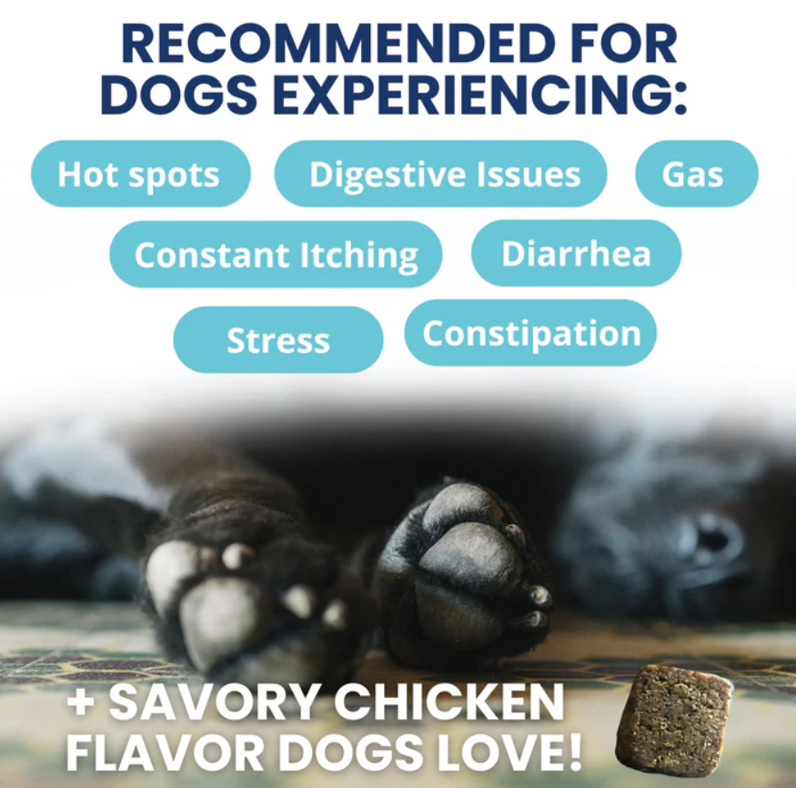 Probiotic Chews for Dogs