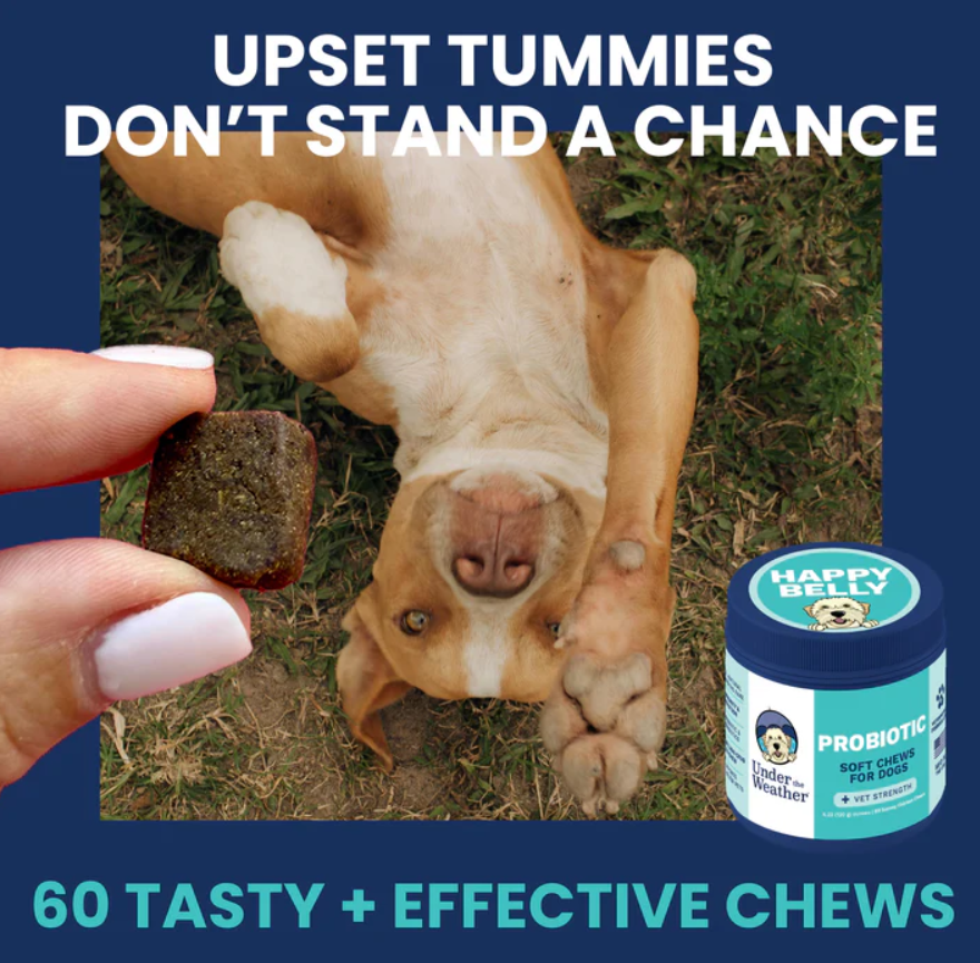 Probiotic Chews for Dogs