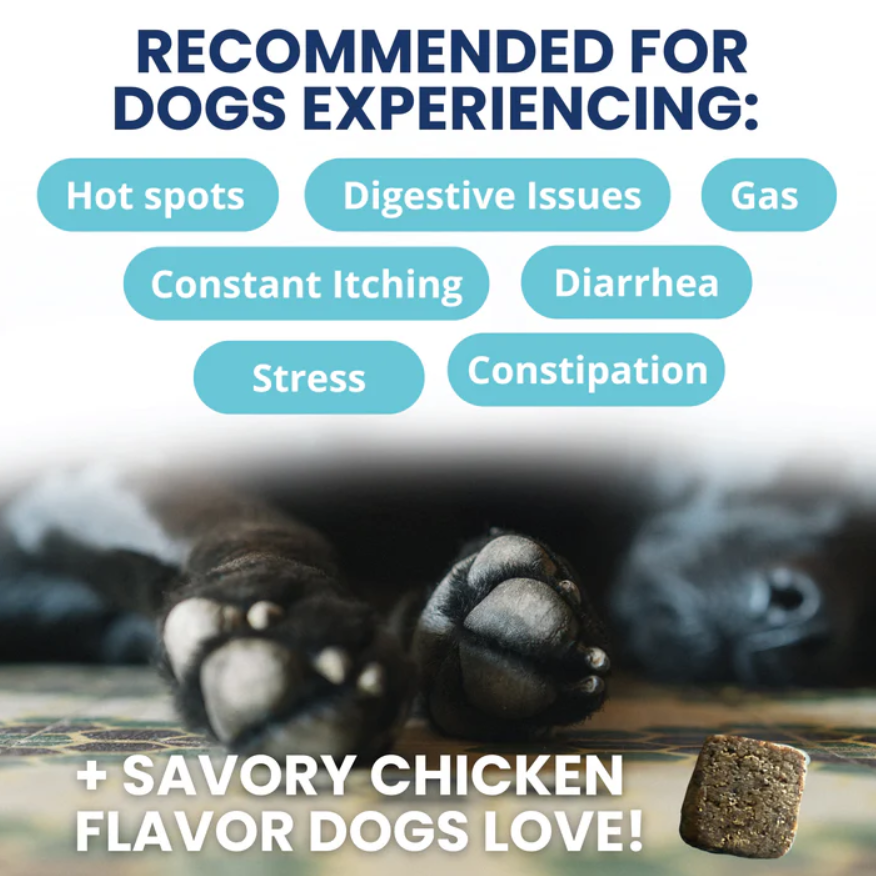 Probiotic Chews for Dogs