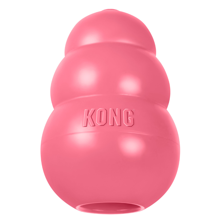 KONG Puppy Medium