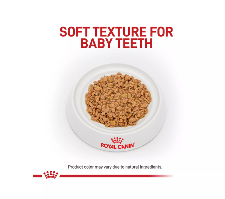 Royal Canin-Puppy Small 2-10 months Stage 3 can 5.1 onz