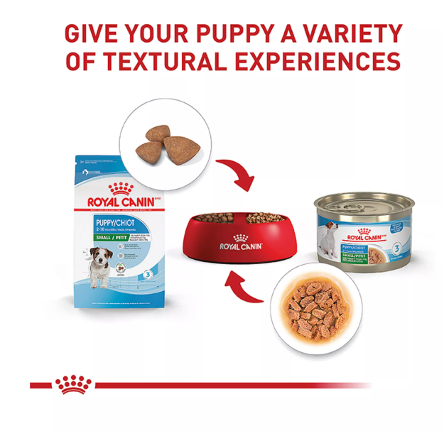 Royal Canin-Puppy Small 2-10 months Stage 3 can 5.1 onz