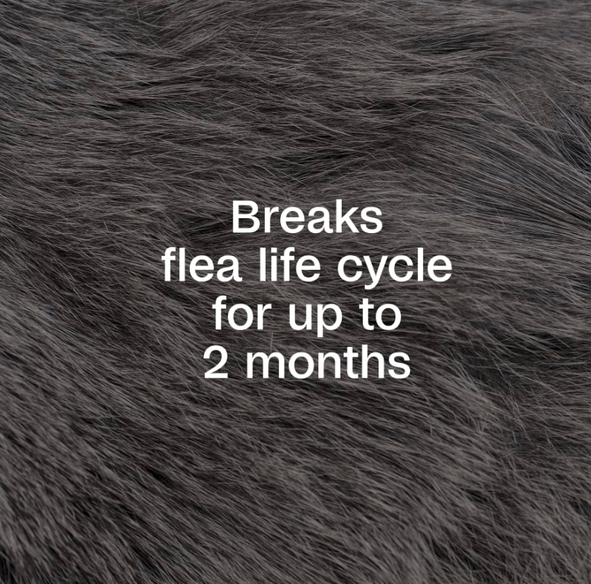 ADAMS™ Plus Flea & Tick Spray