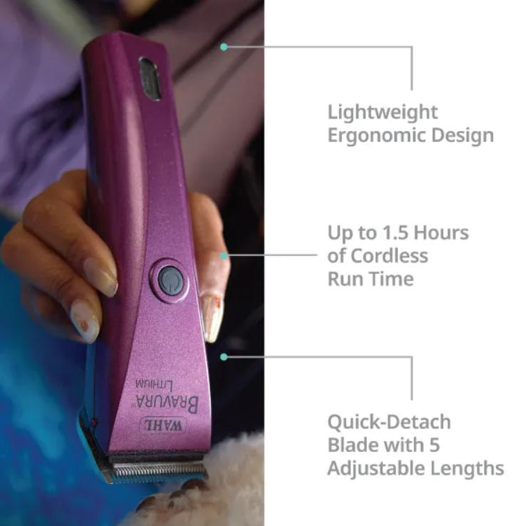 Bravura® Lithium Wahl