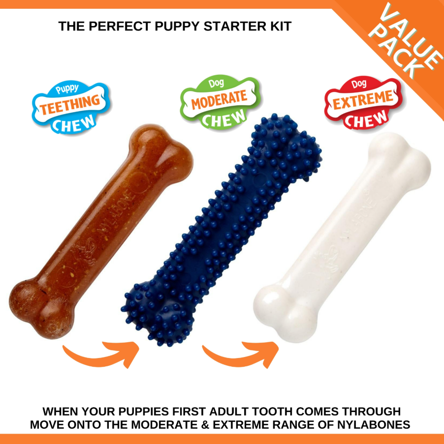 Puppy Chew Starter Kit Chew Toy with Chew Treat