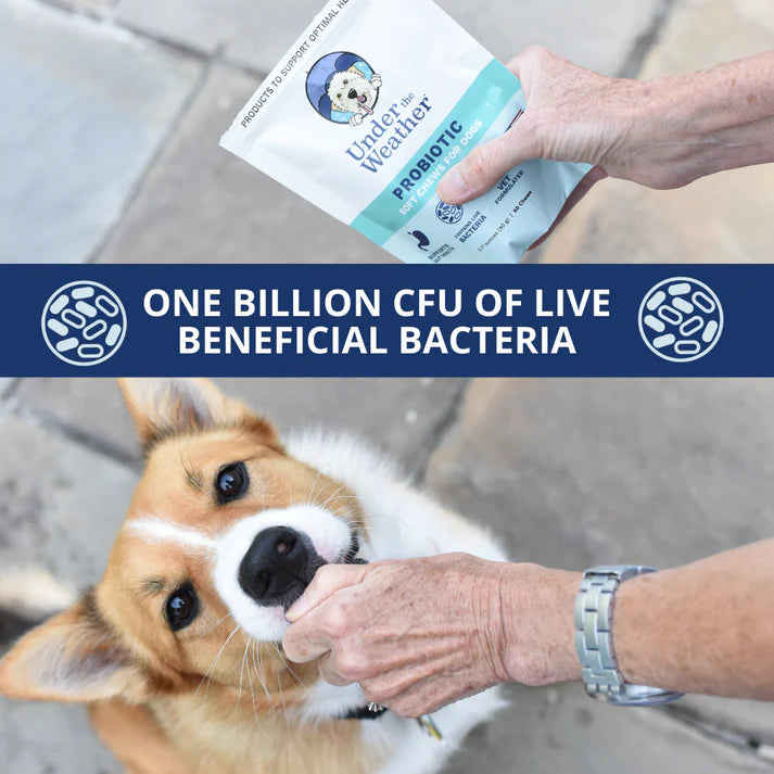 UNDER THE WEATHER PROBIOTIC SOFT CHEWS FOR DOG