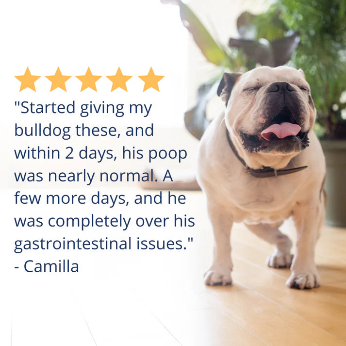 UNDER THE WEATHER PROBIOTIC SOFT CHEWS FOR DOG