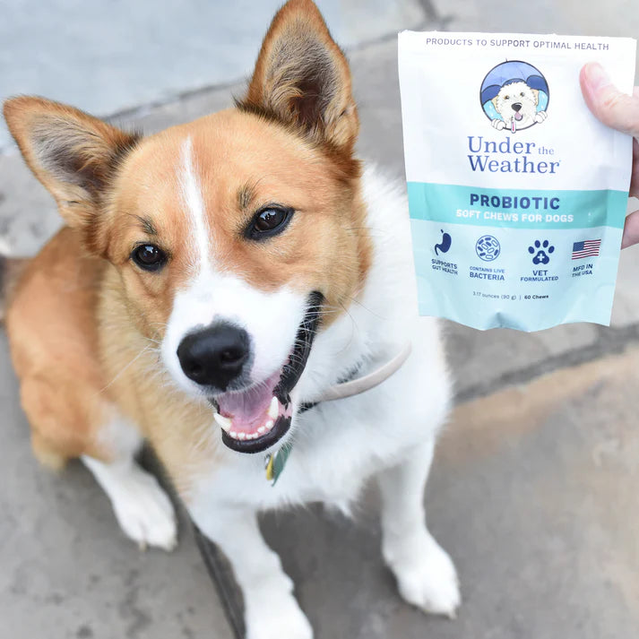UNDER THE WEATHER PROBIOTIC SOFT CHEWS FOR DOG