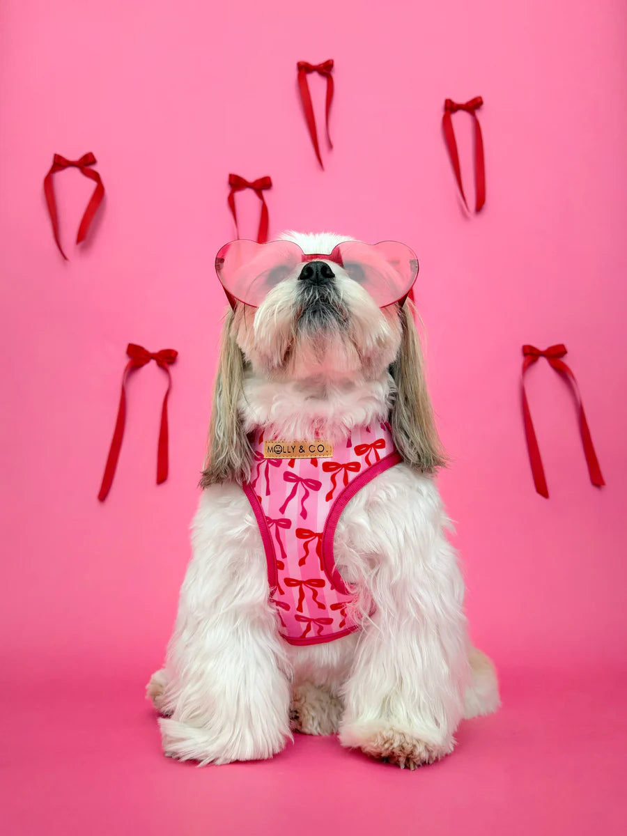 Molly & Co. Coquette - Adjustable Dog Harness