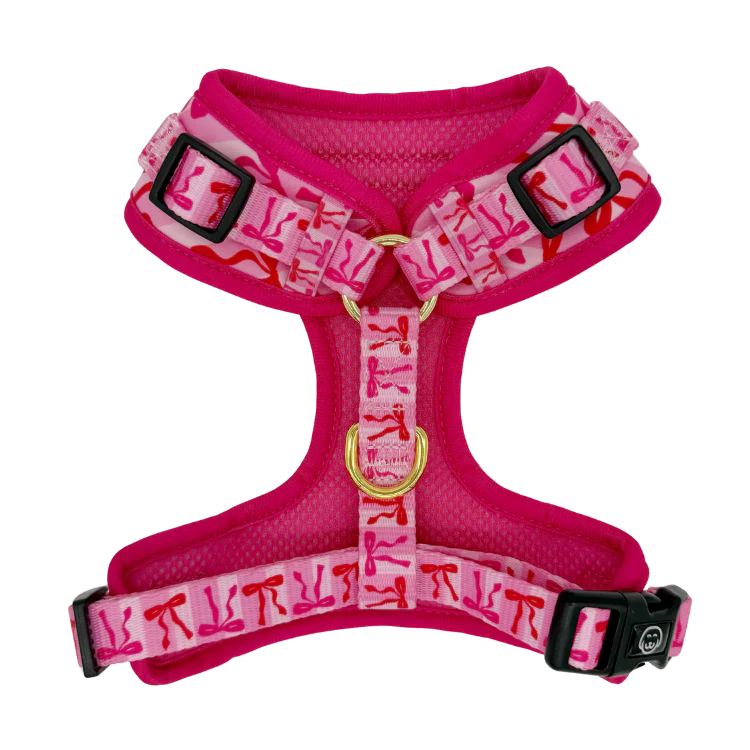 Molly & Co. Coquette - Adjustable Dog Harness