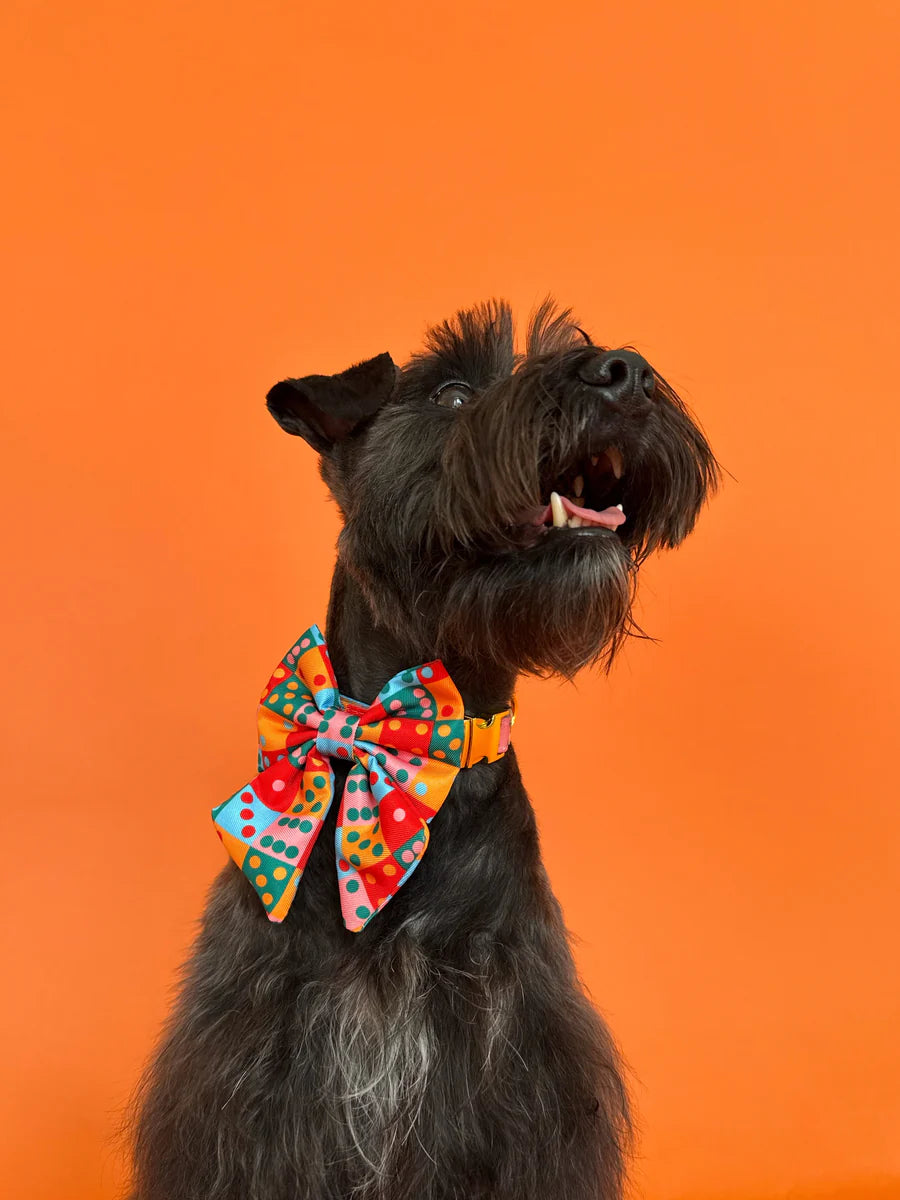 Molly & Co. Doble Seis - Dog Sailor Bowtie