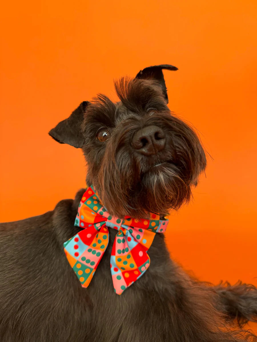 Molly & Co. Doble Seis - Dog Sailor Bowtie