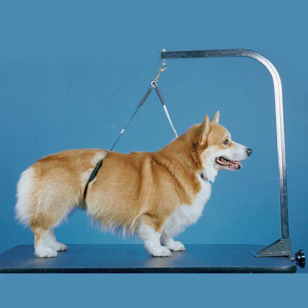 PROGUARD NO-SIT HAUNCH HOLDER (DOBLE) - Mascotito PR