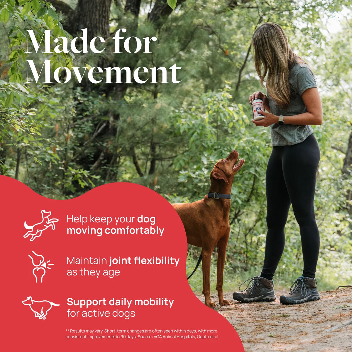 Veterinary Formula Hip & Joint Support Mobility Supplement for Dogs, Smart Vitality Glucosamine Chews, 60 Soft Chews