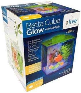 Elive Betta Cube Glow with Led Light