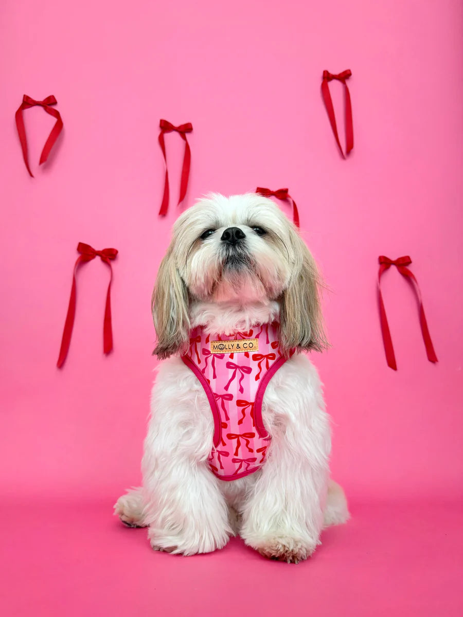 Molly & Co. Coquette - Adjustable Dog Harness