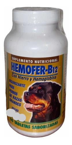 Hemofer B12 frasco de 60 Tabletas