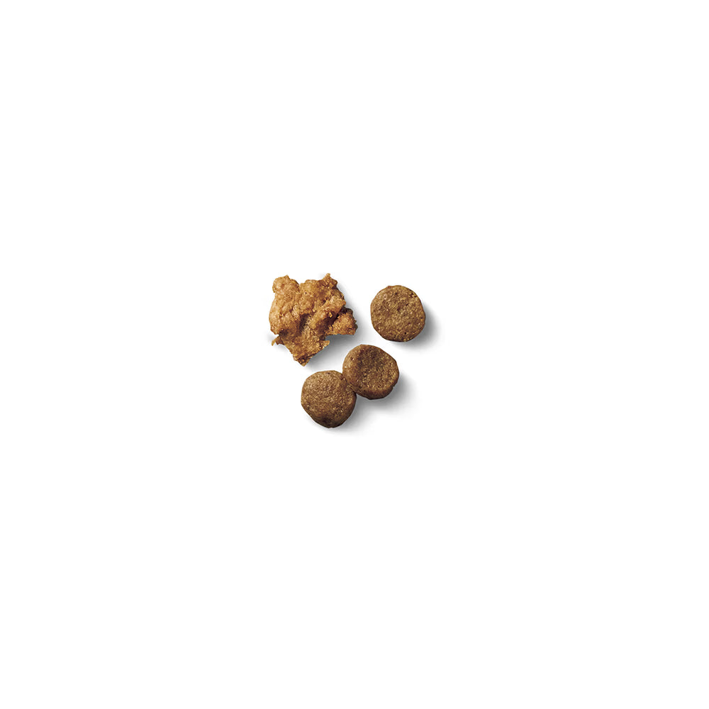 Pro Plan Puppy Shredded Blend Chicken & Rice Formula Dry Dog Food