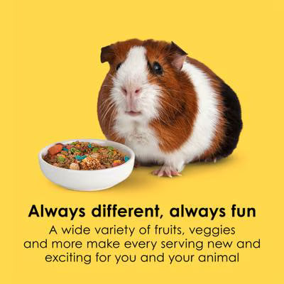 Kaytee Fiesta Guinea Pig Food, 2.5-lb bag
