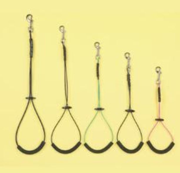 PROGUARD GROOMING NOOSE CABLE - Mascotito PR