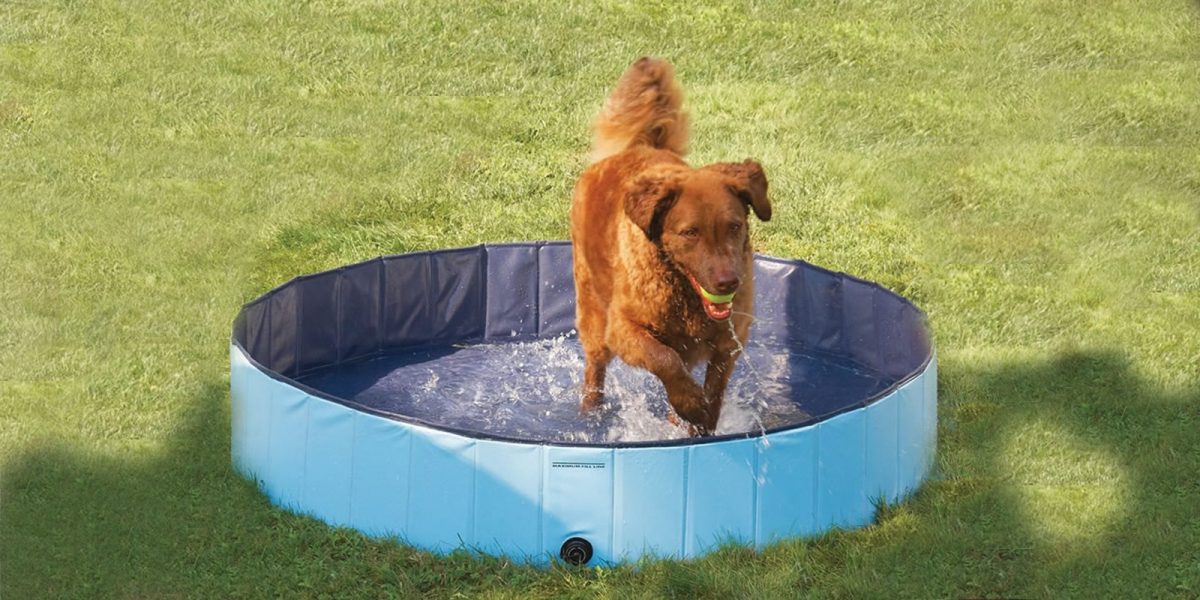 PVC Pet Pool