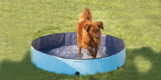 PVC Pet Pool