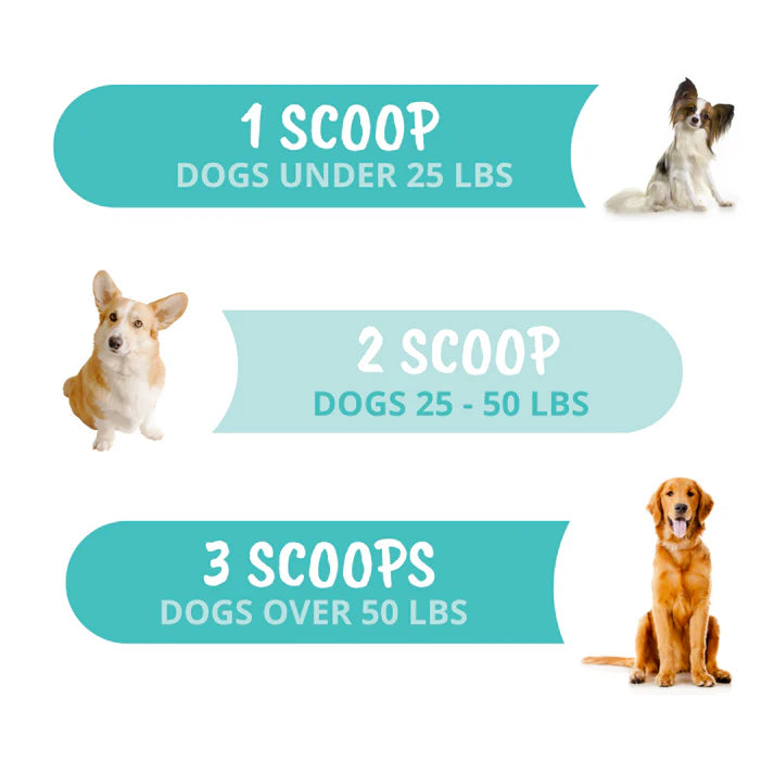 UNDER THE WEATHER PROBIOTIC POWDER FOR DOGS