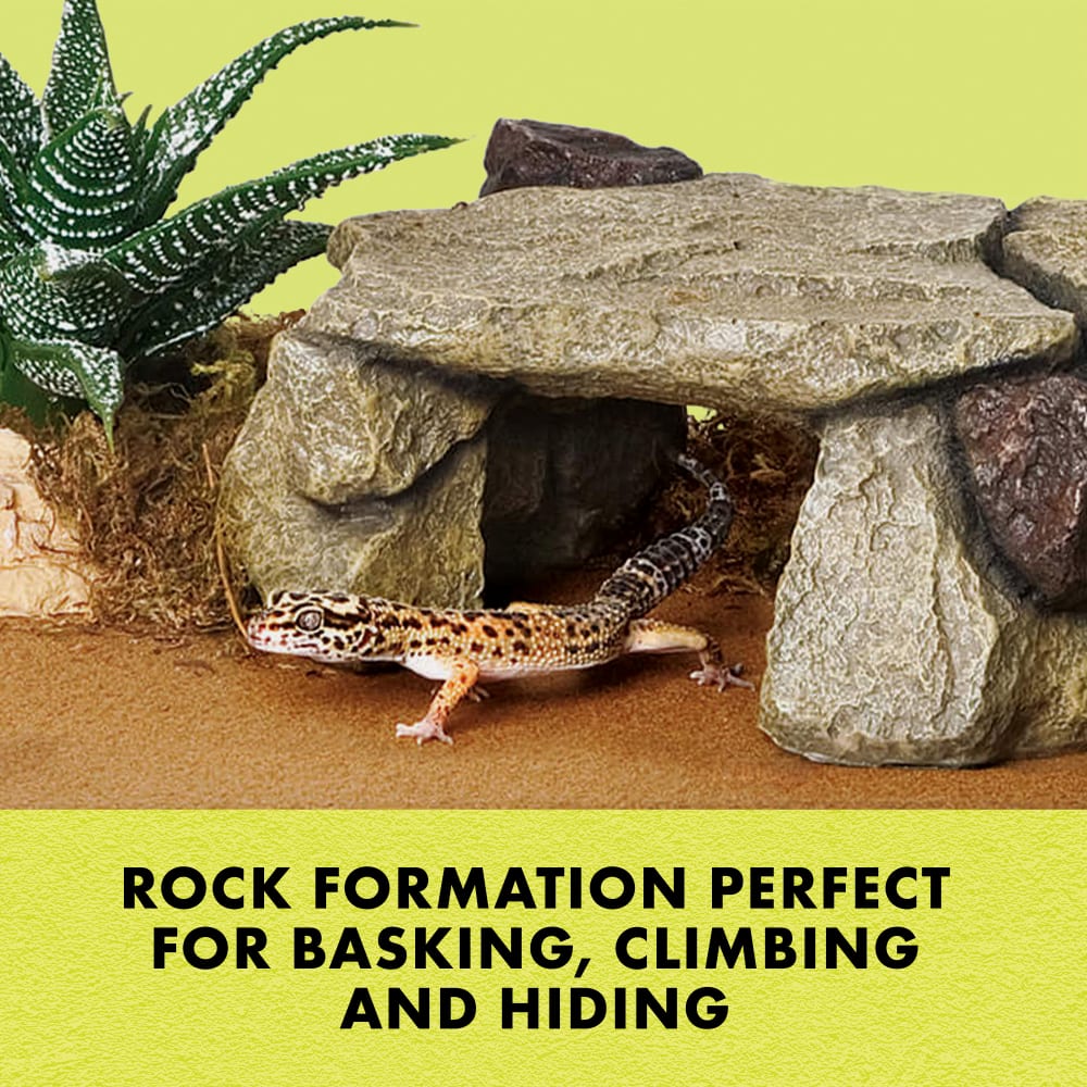 Shale Rock Den Medium