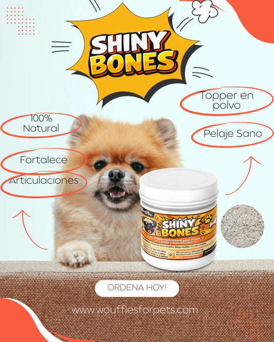 Shiny Bones